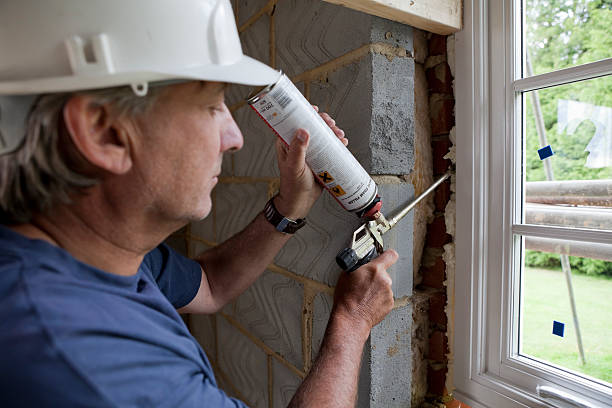 Best Specialized Insulation Services in De Motte, IN