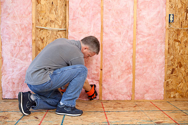 Best Geographic-Specific Insulation Services in De Motte, IN